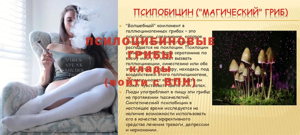 каннабис Алексеевка