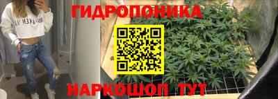 мескалин Гатчина