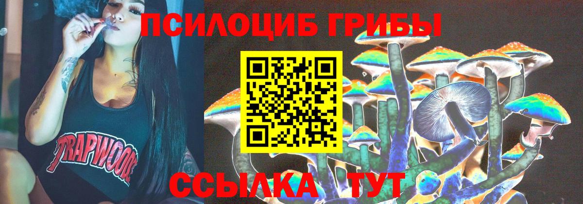 Галлюциногенные грибы Psilocybine cubensis  Вход с VPN  Псилоцибиновые грибы GOLDEN TEACHER  Лесосибирск 