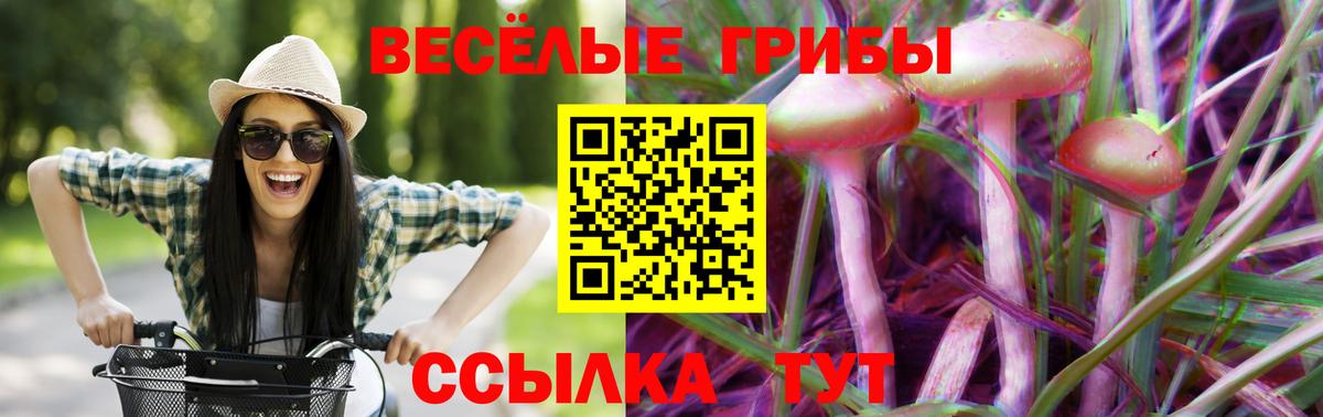Псилоцибиновые грибы Magic Shrooms Лесосибирск